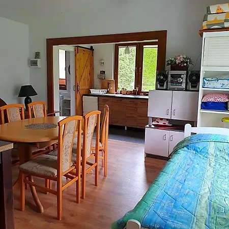 Wiolinkowo Hotel
