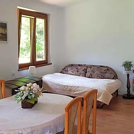 Wiolinkowo Hotel *