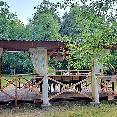 Wiolinkowo Sarnaki
