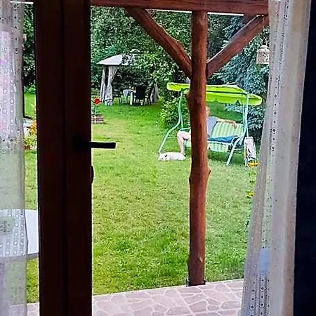 Wiolinkowo